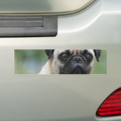 Pug Puppy Dog Bumperstickers (Op auto)