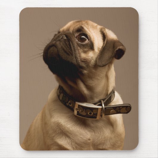 Pug Puppy Dog Canine Computer Mousepad Muismat (Voorkant)