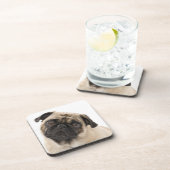 Pug Puppy Dog Cocktail Drink Onderzetter set (Rechterzijde)