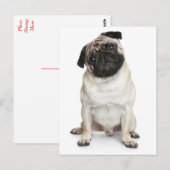 Pug Puppy Dog Greeting Briefkaart (Voorkant / Achterkant)