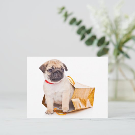 Pug Puppy Dog Greeting Briefkaart (Staand voorkant)