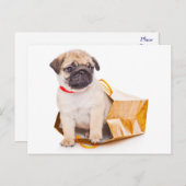 Pug Puppy Dog Greeting Briefkaart (Voorkant / Achterkant)
