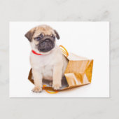 Pug Puppy Dog Greeting Briefkaart (Voorkant)