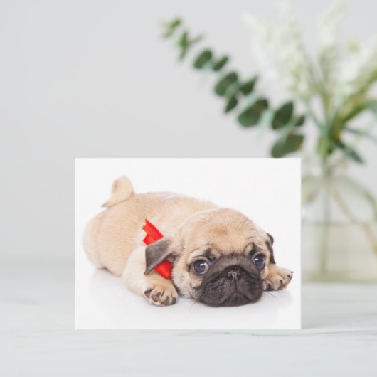 Pug Puppy Dog Greeting Briefkaart (Staand voorkant)