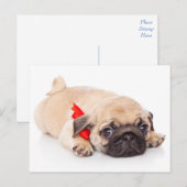 Pug Puppy Dog Greeting Briefkaart (Voorkant / Achterkant)