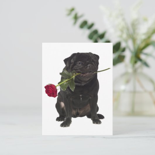 Pug Puppy Dog Greeting Briefkaart (Staand voorkant)