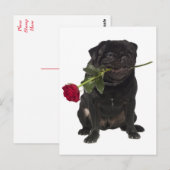 Pug Puppy Dog Greeting Briefkaart (Voorkant / Achterkant)