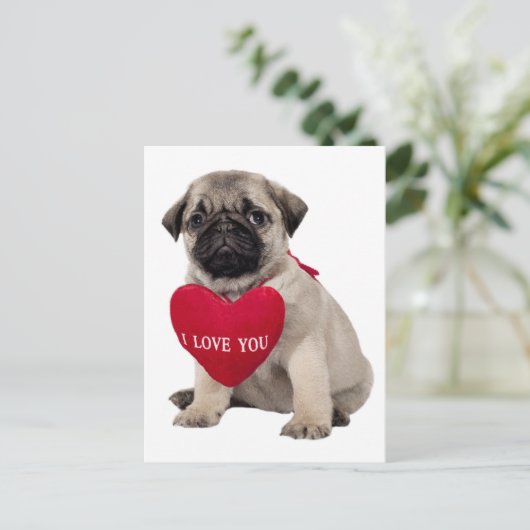 Pug Puppy Dog Greeting Briefkaart (Staand voorkant)