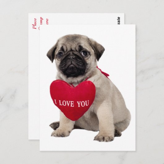 Pug Puppy Dog Greeting Briefkaart (Voorkant / Achterkant)