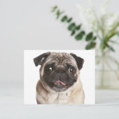 Pug Puppy Dog Greeting Briefkaart (Staand voorkant)