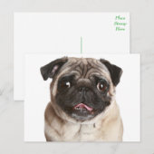 Pug Puppy Dog Greeting Briefkaart (Voorkant / Achterkant)