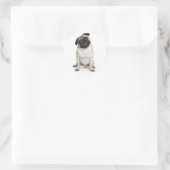Pug Puppy Dog Greeting Stickers/Labels Ronde Sticker (Tas)