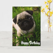Pug Puppy Dog Happy Birthday Card - Verse binnenka Kaart (Gele Bloem)