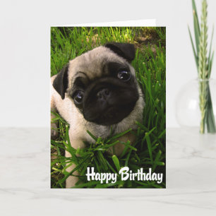 Pug Puppy Dog Happy Birthday Card - Verse binnenka Kaart