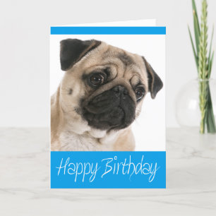 Pug Puppy Dog Happy Birthday Card - Verse binnenka Kaart