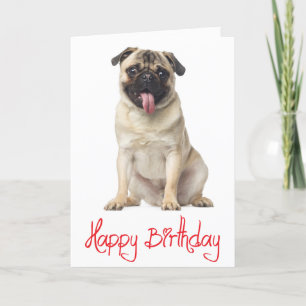 Pug Puppy Dog Happy Birthday Card - Verse inside Kaart