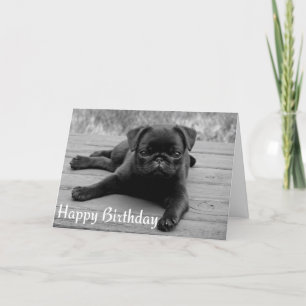 Pug Puppy Dog Happy Birthday Card - zwart-wit Kaart