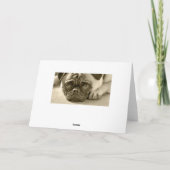 Pug Puppy Dog Happy Birthday Kaart - Verse binnen (Achterkant)
