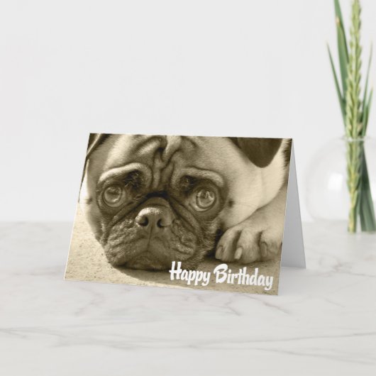 Pug Puppy Dog Happy Birthday Kaart - Verse binnen (Voorkant)