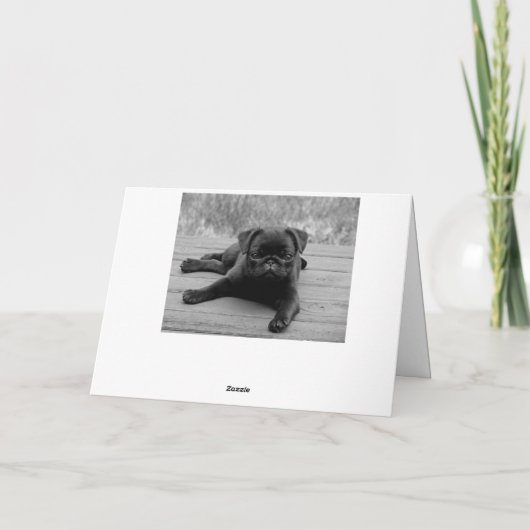 Pug Puppy Dog Happy Birthday Kaart - Zwart & Wit (Achterkant)