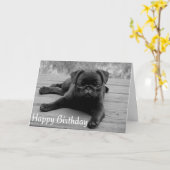 Pug Puppy Dog Happy Birthday Kaart - Zwart & Wit (Gele Bloem)