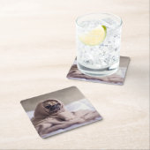 Pug puppy Dog Keuken in een warme handdoekje Kartonnen Onderzetters (Insitu)