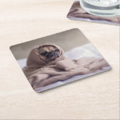 Pug puppy Dog Keuken in een warme handdoekje Kartonnen Onderzetters (Schuin)