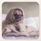 Pug puppy Dog Keuken in een warme handdoekje Kartonnen Onderzetters (Voorkant)