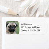 Pug Puppy Dog Mailing Label (Insitu)