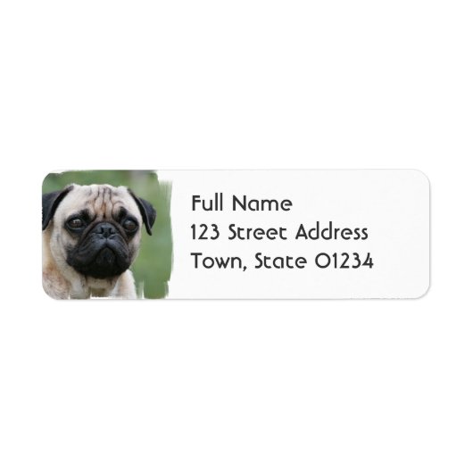 Pug Puppy Dog Mailing Label (Voorkant)