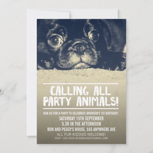 Pug Puppy Dog Party nodigt [Full Bleed Photo] uit Kaart (Voorkant)