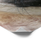 Pug Puppy Dog Poster (Hoek)