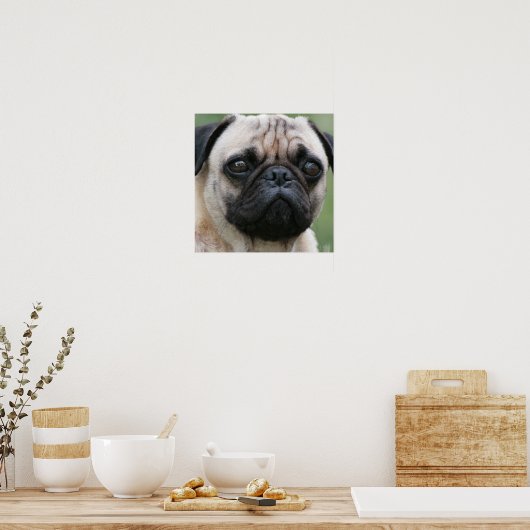 Pug Puppy Dog Poster (Keuken)