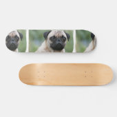 Pug Puppy Dog Skateboard (Horizontaal)
