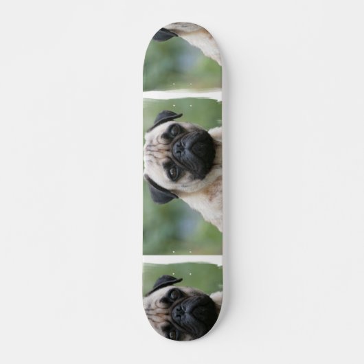 Pug Puppy Dog Skateboard (Voorkant)