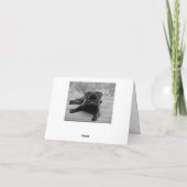 Pug Puppy Dog Zwart & Wit Blank Note Kaart (Achterkant)
