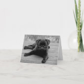 Pug Puppy Dog Zwart & Wit Blank Note Kaart (Voorkant)