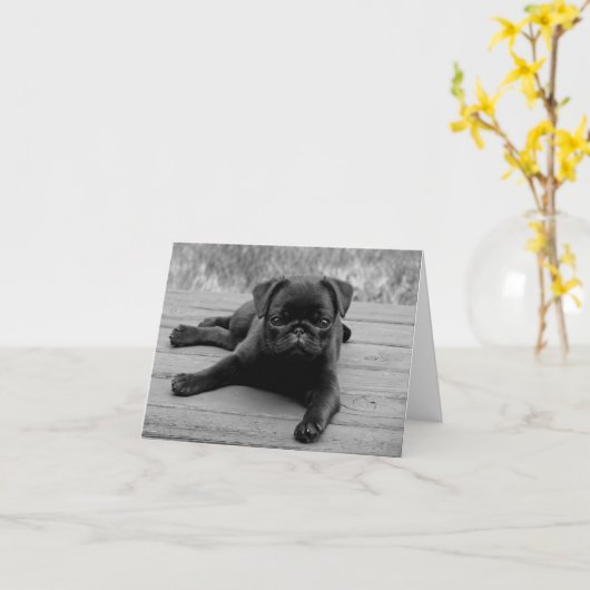 Pug Puppy Dog Zwart & Wit Blank Note Kaart (Gele Bloem)