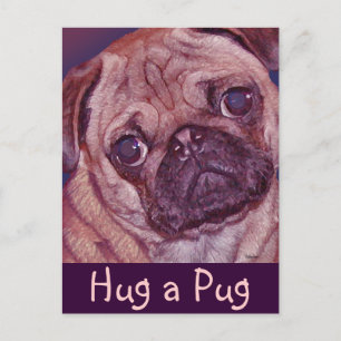 Pug Puppy Face Briefkaart
