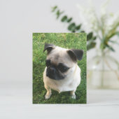 Pug Puppy Foto Briefkaart (Staand voorkant)