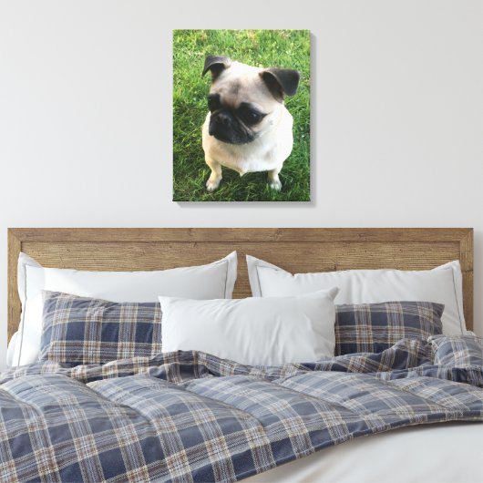 Pug Puppy Foto Canvas Afdruk (Insitu (Slaapkamer))