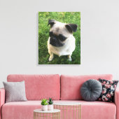 Pug Puppy Foto Canvas Afdruk (Insitu (Woonkamer))
