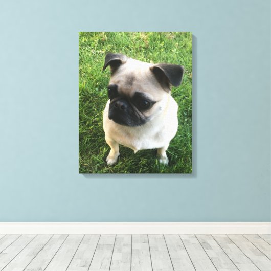Pug Puppy Foto Canvas Afdruk (Insitu (Houten vloer))