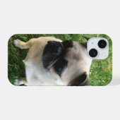 Pug Puppy Foto iPhone 15 Case (Achterkant horizontaal)