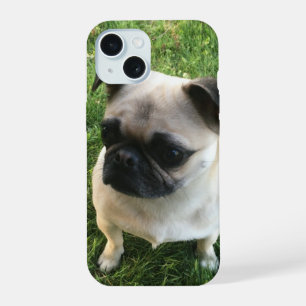 Pug Puppy Foto iPhone 15 Case
