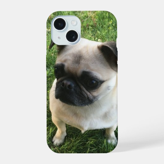 Pug Puppy Foto iPhone 15 Case (Achterkant)