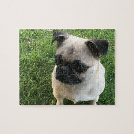Pug Puppy Foto Legpuzzel (Horizontaal)
