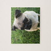 Pug Puppy Foto Legpuzzel (Verticaal)