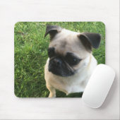Pug Puppy Foto Muismat (Met muis)