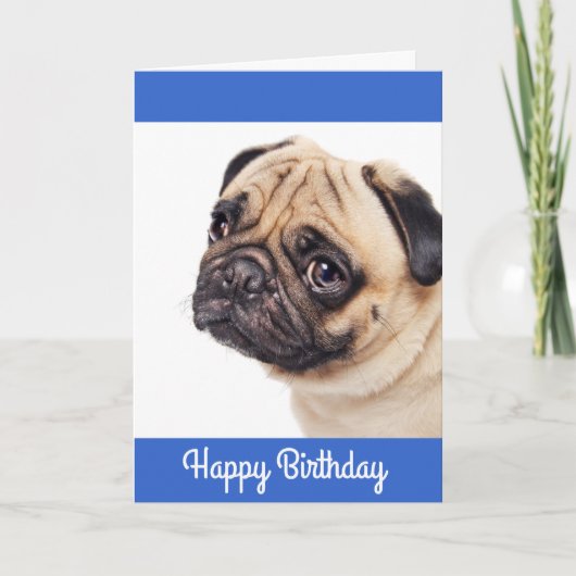 Pug Puppy Happy Birthday Kaart - Verse binnen (Voorkant)